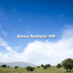 Game Analysis 446